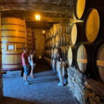 Douro offroad experience: visit to a winery and a picnic - What We Loved About This Tour