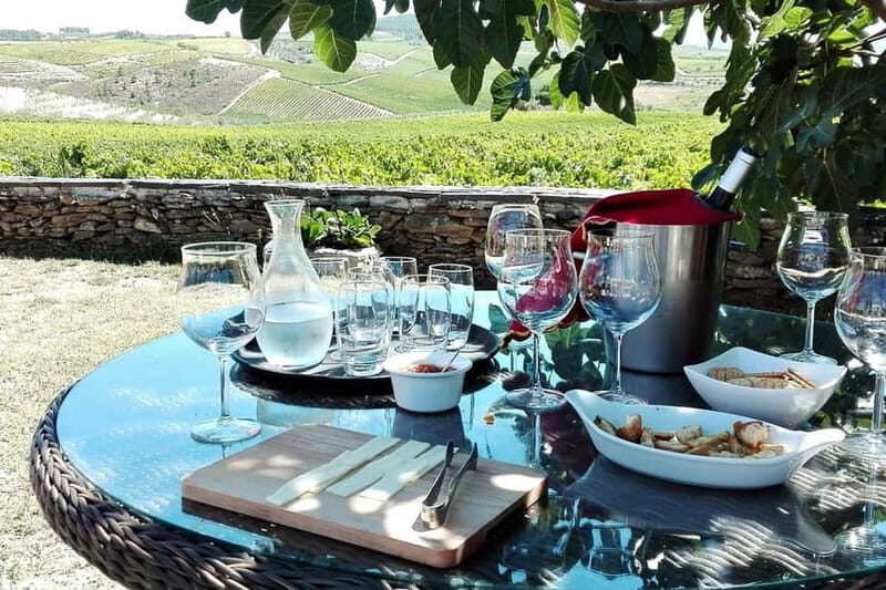 Douro Private Tour  Customizable Experience - What’s Included and What’s Not