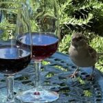 Douro Tour: Wine Tastings, Boat Ride & Manor House Lunch - The Practicalities: What You Need to Know