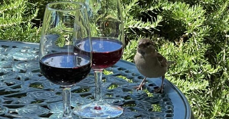 Douro Tour: Wine Tastings, Boat Ride & Manor House Lunch - The Practicalities: What You Need to Know