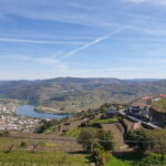 Douro: Traditional Harvest Lunch at Quinta de Sobre a Fonte - Detailed Breakdown of the Itinerary