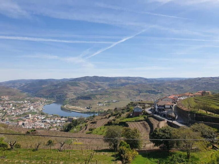 Douro: Traditional Harvest Lunch at Quinta de Sobre a Fonte - Detailed Breakdown of the Itinerary