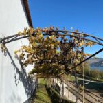 Douro triathlon from Porto - car, walk and train - Practical Details and Why They Matter