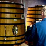 Douro Valley: A Day in Douro Valley Tasting The Best Wines - Who Should Consider This Tour?