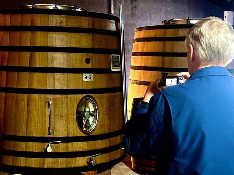 Douro Valley: A Day in Douro Valley Tasting The Best Wines - Who Should Consider This Tour?