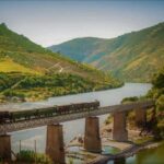 Douro Valley: Cruise & vineyard discovery from Porto or Aveiro - Detailed Breakdown of the Itinerary