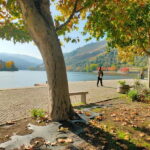 Douro Valley: Discover the Wine Region with Tastings. - Why This Tour Offers Great Value