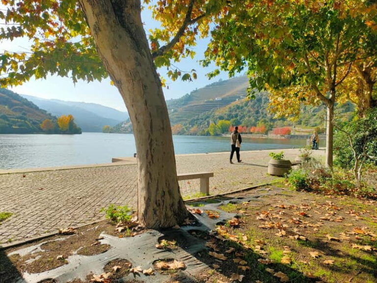 Douro Valley: Discover the Wine Region with Tastings. - Why This Tour Offers Great Value