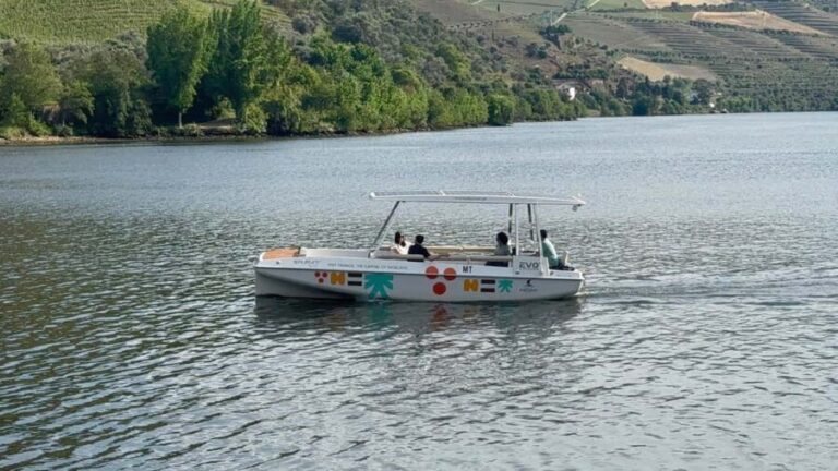 Douro Valley: Guided Tour with Wine Tasting and Lunch - An In-Depth Look at the Douro Valley Tour