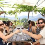 Douro Valley: Half-Day, with 1 winery & 1-h boat tour - Authentic Experiences from Travelers