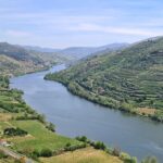 Douro Valley Private Tour (winery + boat + viewpoint) - Who Is This Tour Best For?