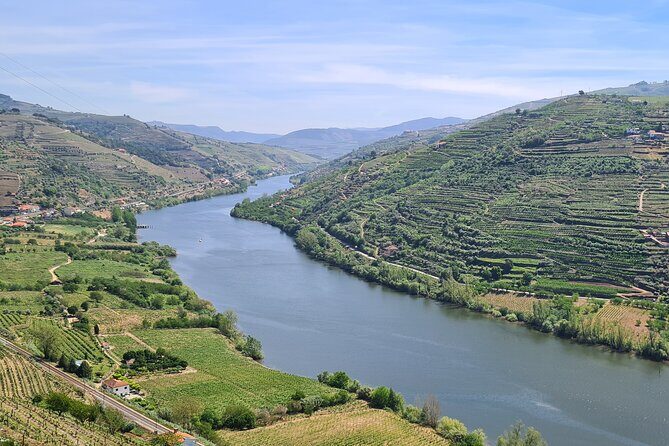 Douro Valley Private Tour (winery + boat + viewpoint) - Who Is This Tour Best For?