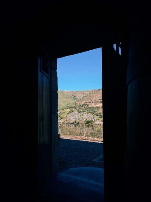 Douro Valley: PRIVATE TOURS with 1 Wine Tasting - Is It Worth the Price?
