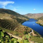 Douro Valley Private Wine Tour from Lisbon - The Experience in Practice