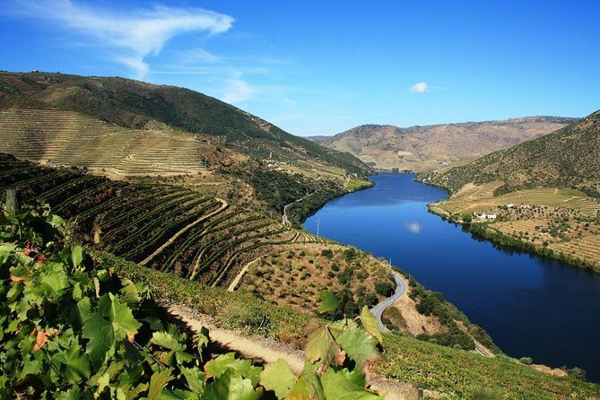 Douro Valley Private Wine Tour from Lisbon - The Experience in Practice