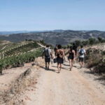 Douro Valley: Provesende and São Cristóvão Guided Hike - Exploring the Douro Valley: What You Can Expect