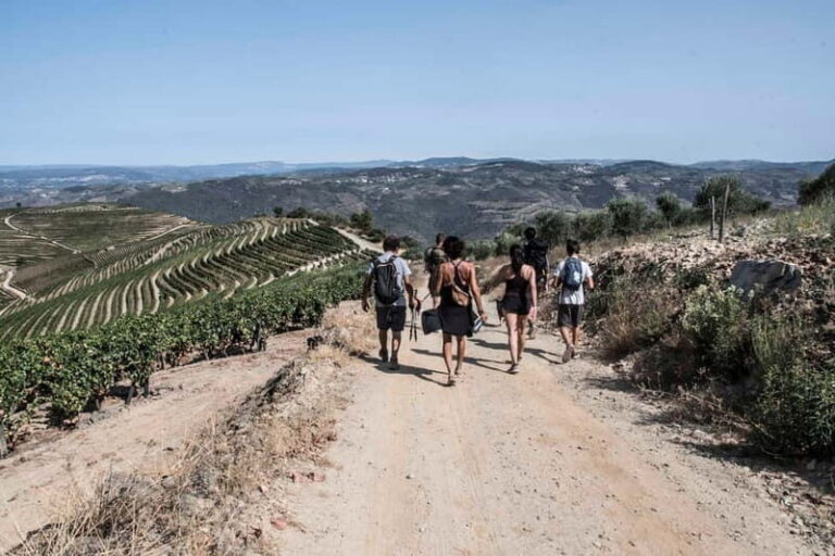 Douro Valley: Provesende and São Cristóvão Guided Hike - Exploring the Douro Valley: What You Can Expect