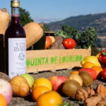 Douro Valley: Traditional Cooking Class, Farm Tour & Lunch - Practical Details & Logistics