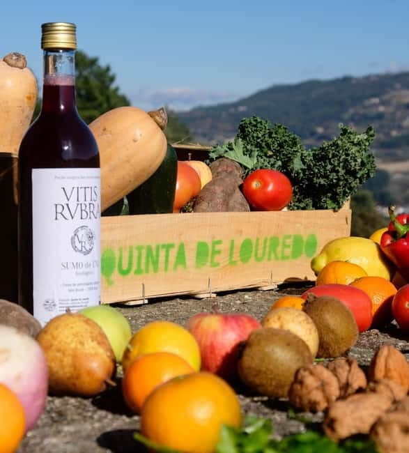 Douro Valley: Traditional Cooking Class, Farm Tour & Lunch - Practical Details & Logistics