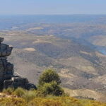 Douro Valley: Wine & Chocolate Tour in the Wine Region - The Practicalities: What’s Included and What to Keep in Mind