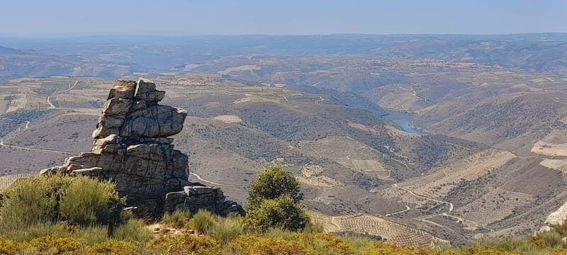 Douro Valley: Wine & Chocolate Tour in the Wine Region - The Practicalities: What’s Included and What to Keep in Mind