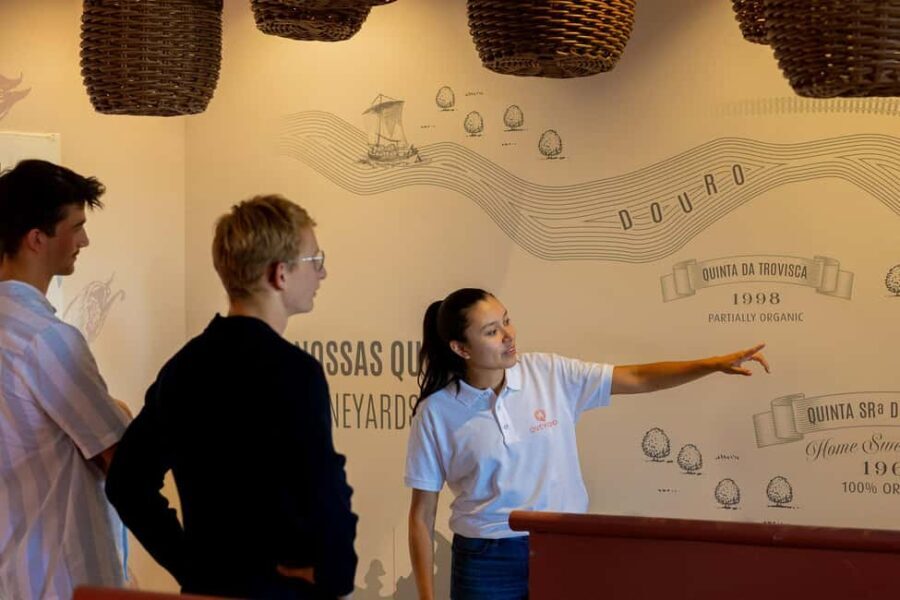 Douro Valley: Winery Tour with Port Wine Tasting and Picnic - Who Would Love This Experience?