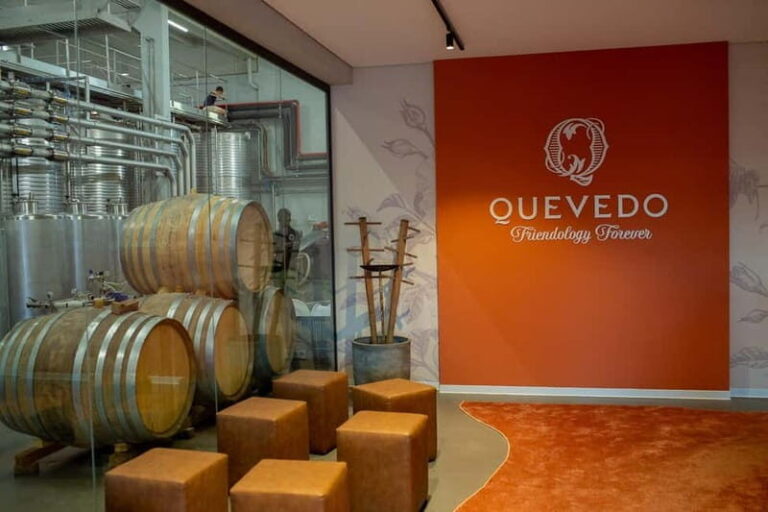 Douro Valley: Winery Visit & Legacy Port Wine Tasting - Why This Tour Works Well