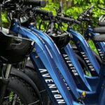 Downtown Sitka E-Bike Rentals - Why Choose This Tour?