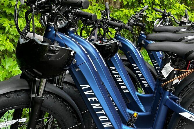 Downtown Sitka E-Bike Rentals - Why Choose This Tour?