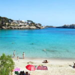 Drach Caves and Palma or Beach Retreat  Full-Day Tour - Practical Details and Value