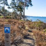 Drøbak: Coastal Walk with Coffee, Buns, and Hammocks - Detailed Breakdown of the Tour