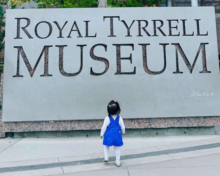 Drumheller Full-day Private Sightseeing Tour - Practical Details and What to Expect