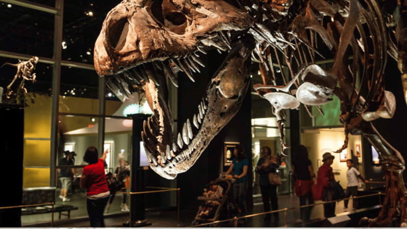 Drumheller Full Day: Tyrrell Museum & Canyon Adventure - Who Should Consider This Tour?