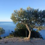 Dubrovnik: Dawn Nature Walk with Historical Twist - What’s Included and What to Bring
