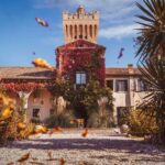 Due Carrare: San Pelagio Castle Entry Ticket - Who Would Love This Experience?