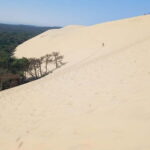 Dune du Pilat, Oysters Tasting and Arcachon! What else ? - The Details That Make This Tour Stand Out