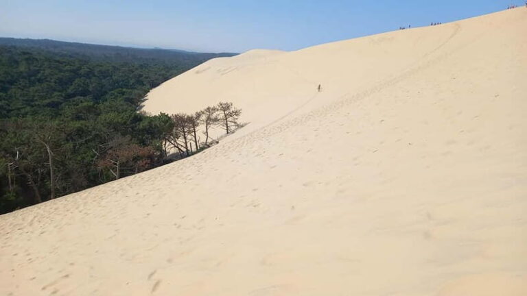 Dune du Pilat, Oysters Tasting and Arcachon! What else ? - The Details That Make This Tour Stand Out