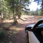 Durango: La Plata Canyon Exclusive Access Jeep Tour - Wildlife Encounters and Scenic Highlights