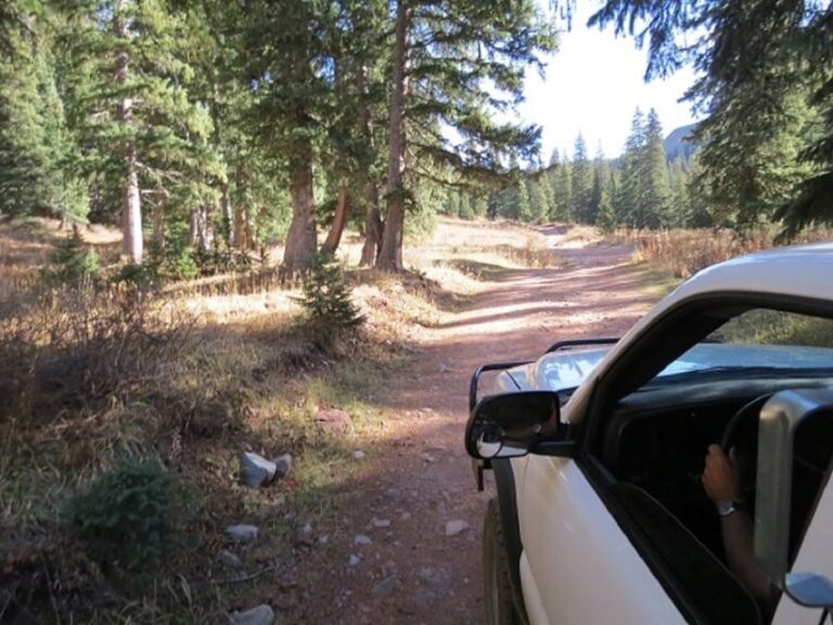 Durango: La Plata Canyon Exclusive Access Jeep Tour - Wildlife Encounters and Scenic Highlights
