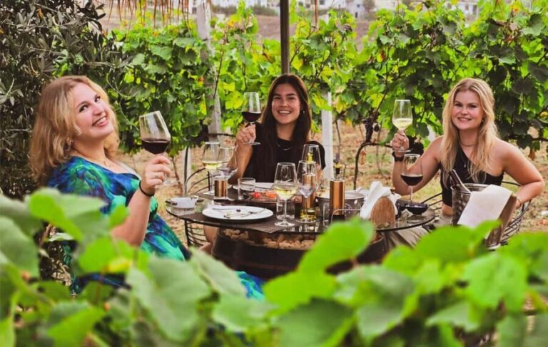 Durres Countryside Vineyards Wine Tasting & Food Pairing - Who Will Love This Tour?