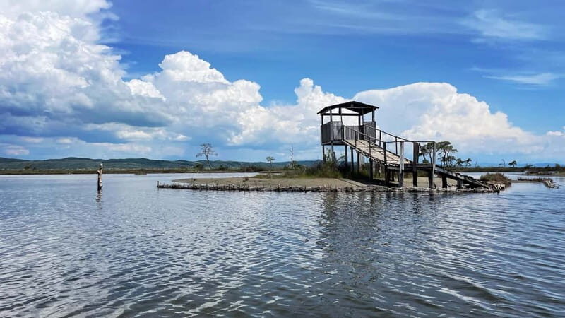 Durres & Karavasta National Park Tour on Luxury Land Rover - Practical Details and Value