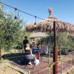 Durres: Where History Meets Wine - Wine Tasting at Arapaj Vineyard