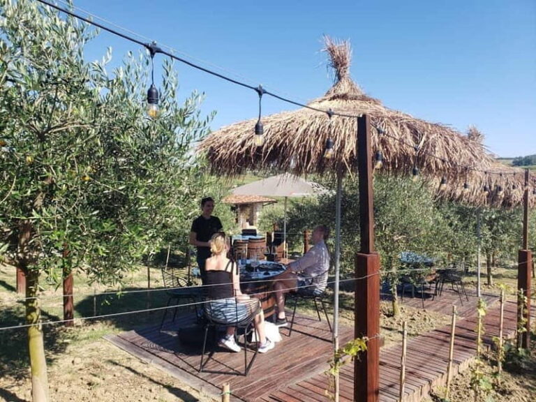 Durres: Where History Meets Wine - Wine Tasting at Arapaj Vineyard