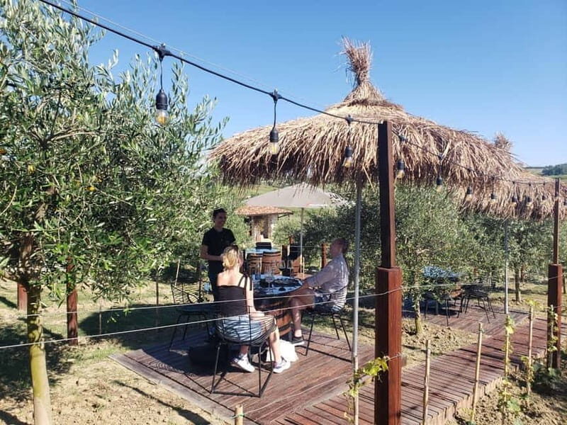 Durres: Where History Meets Wine - Wine Tasting at Arapaj Vineyard