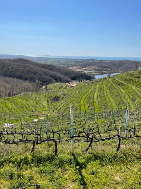 Durres & Wine Tasting Tour - What Makes This Tour a Good Value?