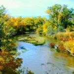 E-Bike & Brews: Denver's Platte River & Brewery E-Bike Tour - Practical Details & Value