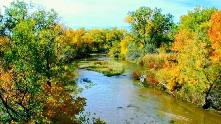 E-Bike & Brews: Denver's Platte River & Brewery E-Bike Tour - Practical Details & Value