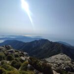 E bike Excursions and Lunch in Monte Capanne - Practical Considerations