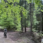 E-BIKE TOUR & Flavours at Fausior Mount - Final Thoughts: Who Should Consider This Tour?