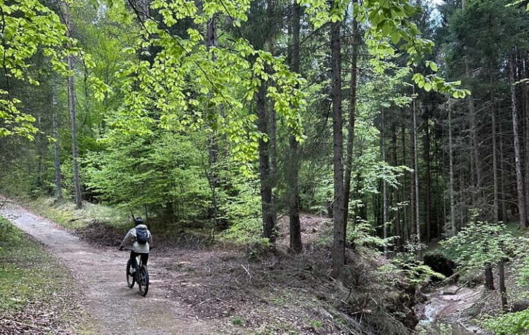 E-BIKE TOUR & Flavours at Fausior Mount - Final Thoughts: Who Should Consider This Tour?
